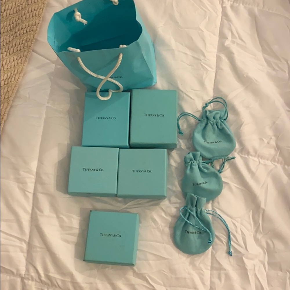 Authentic Tiffany & Co Bag, Box, and Dust Bags